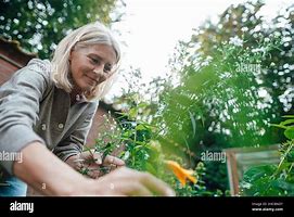 Image result for People Drinking Coffee in a Garden