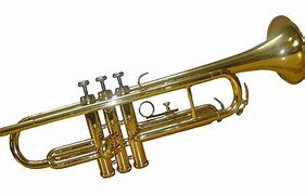 Image result for D On Trumpet