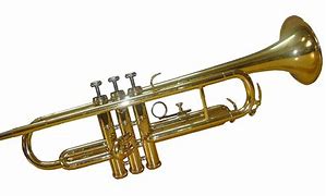 Image result for Crazy Trumpet