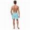 Image result for Hawaiian Swim Trunks