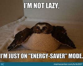 Image result for Funny Lazy Pics