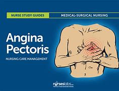 Image result for Angina Pectoris Anatomical Position