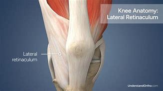 Image result for Left Knee