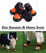 Image result for Dog Hiking Boots