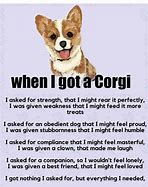 Image result for Corgi Sayings