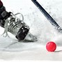 Image result for World Cup Bandy