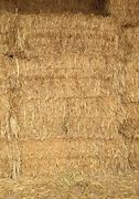 Image result for Pea Hay