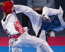 Image result for South Korea Taekwondo