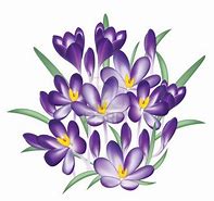 Image result for Purple Lily Flower Clip Art