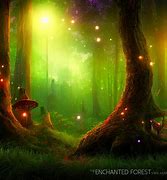 Image result for Enchanted Forest Pics