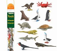 Image result for Safari LTD Galapagos Toob