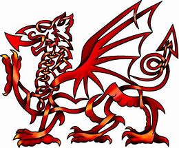 Image result for Celtic Welsh Dragon