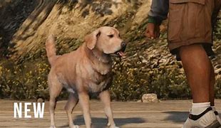 Image result for GTA 5 Dog