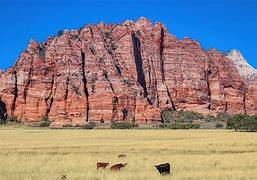 Image result for Red Landscape Rock