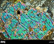 Image result for Rock Microscopic