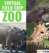 Image result for Zoo Field Trip