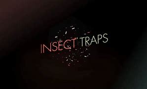 Image result for Insect Traps