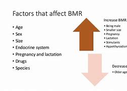 Image result for Basal Metabolic Rate with Black Background