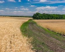 Image result for June Landscape