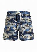 Image result for Men's Shark Swim Trunks