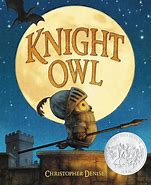 Image result for Knight Owl