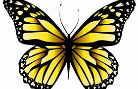 Image result for Yellow Butterfly Cartoon Clip Art