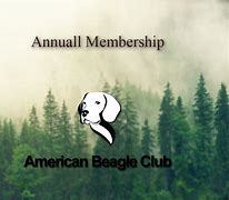 Image result for AKC Beagle Club Logo