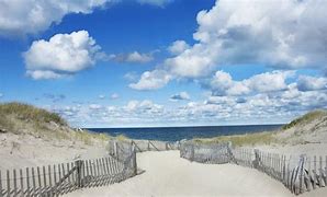 Image result for Cape Cod Beach