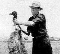 Image result for Great Emu War