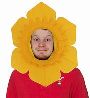 Image result for Welsh Daffodil Hat