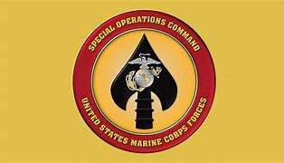 Image result for MARSOC Logo