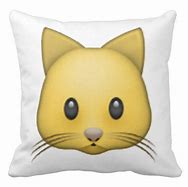 Image result for Beat Up Emoji Pillow