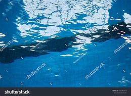 Image result for Pool Swim Lane Dividers