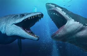 Image result for Megalodon Shark Wallpaper 4K