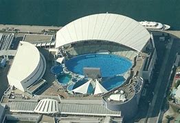 Image result for Nagoya Aquarium