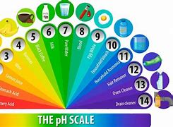 Image result for Light Bulb pH Scale