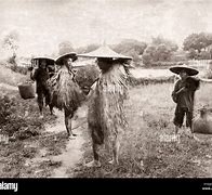 Image result for Ancient China Farming