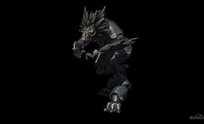 Image result for Halo Skirmisher