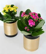 Image result for tin can flower pots