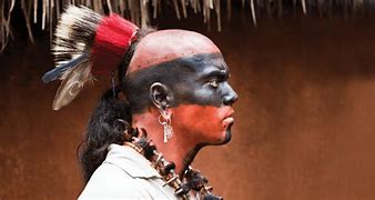 Image result for Cherokee Indian Tribe