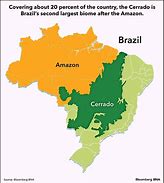 Image result for Cerrado Brazil Map