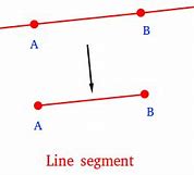 Image result for Nidline Segment