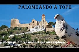 Image result for Uvaldo Palomares