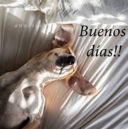 Image result for Imagenes Chistosas De Feliz DIA