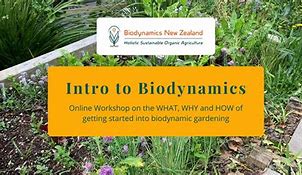 Image result for Biodynamic Herb Garden