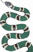 Image result for Gucci Snake PNG