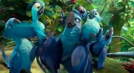 Image result for Rio 2 Animals