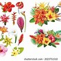 Image result for Lei Flower Cut Out