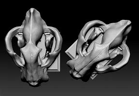 Image result for Tiger Skull 3D Print