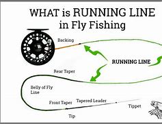 Image result for Fly Fishing Line